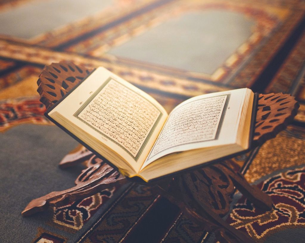الزكاة في القرآن الكريم 
